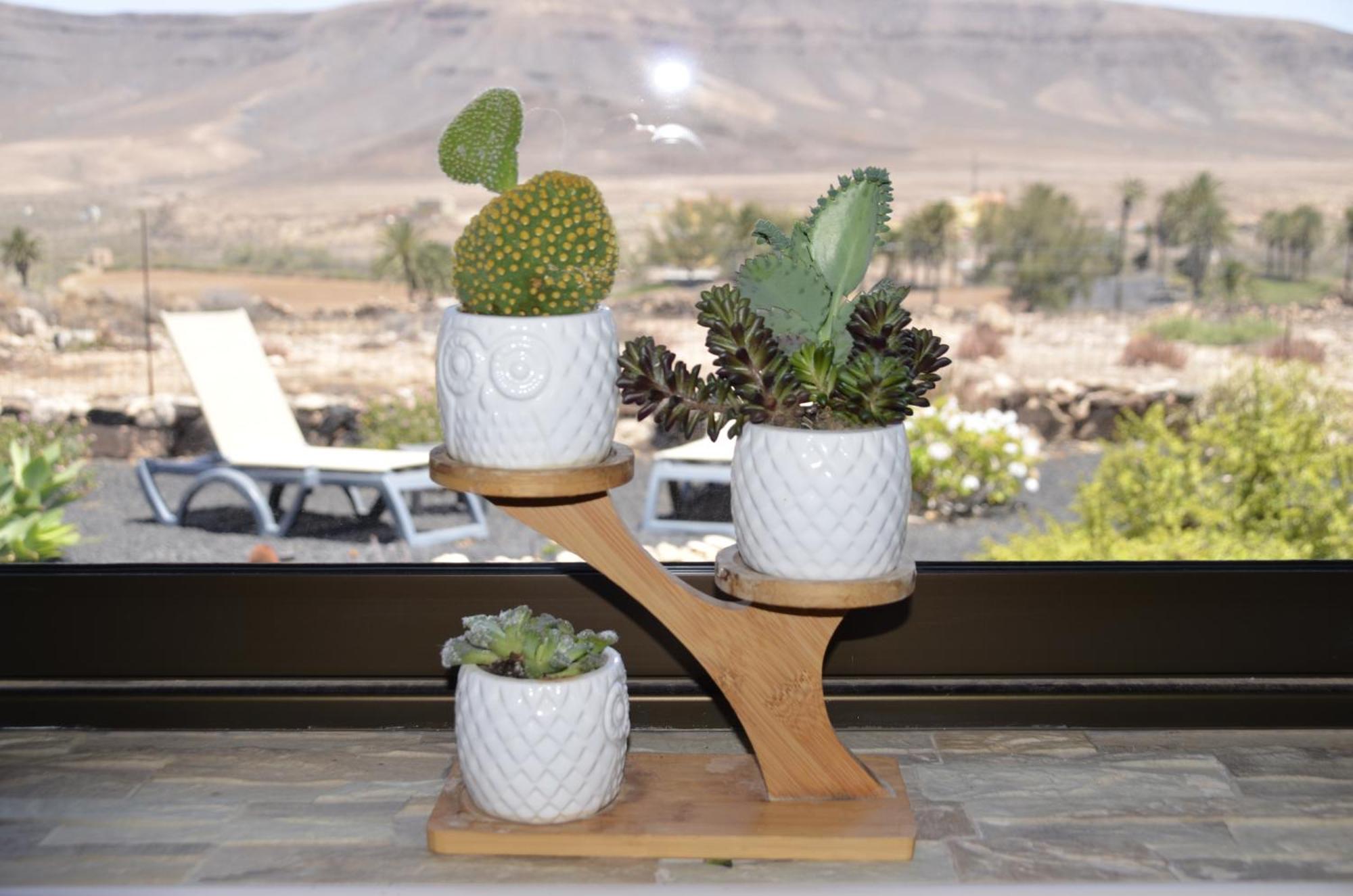 Casa Vista Oasis En Fuerteventura Villa La Guirra Екстериор снимка